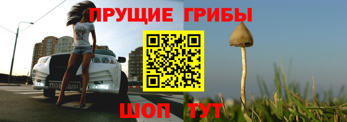 ГАШИШ Пугачёв
